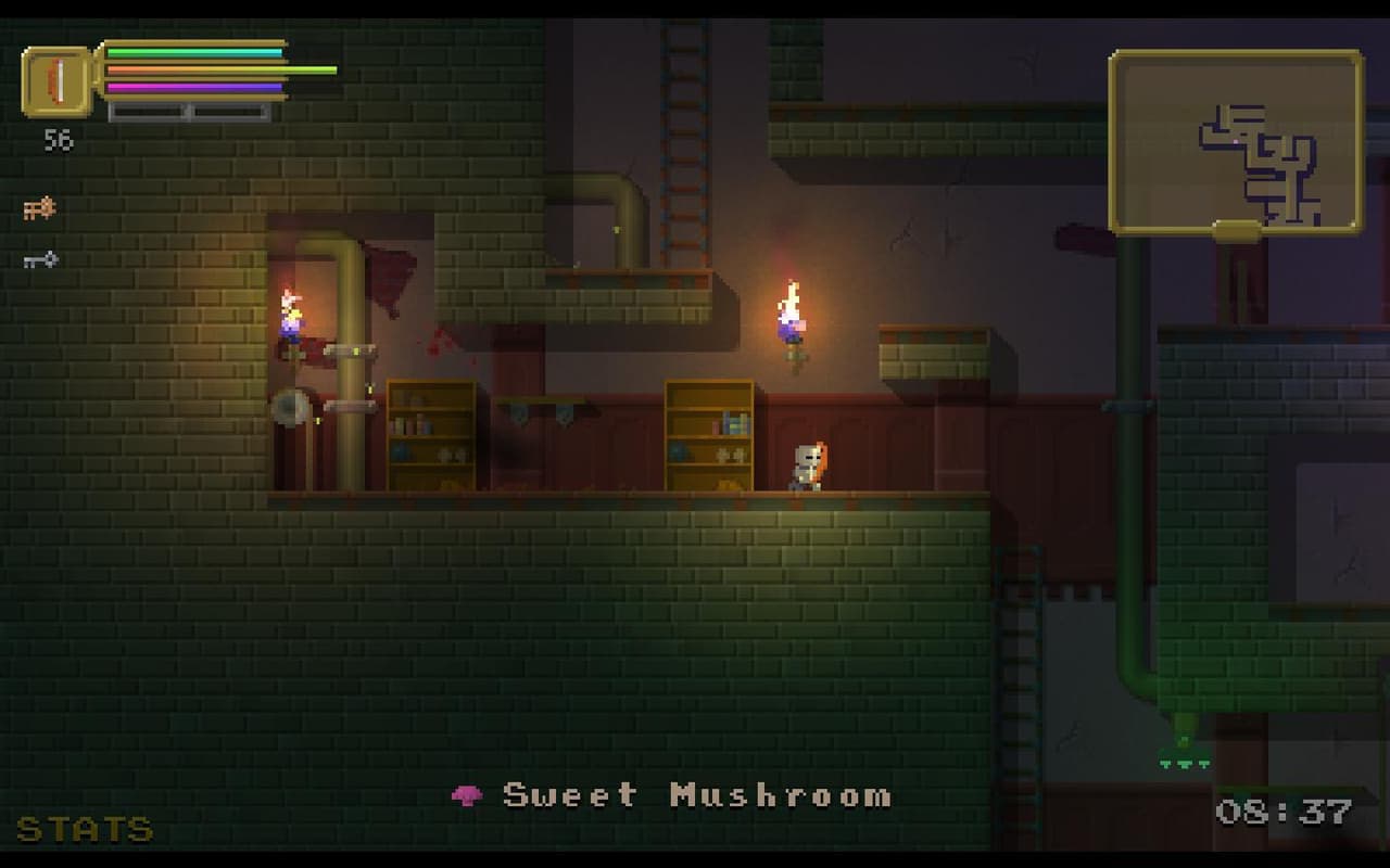 The Dungeoning (itch) screenshot 4