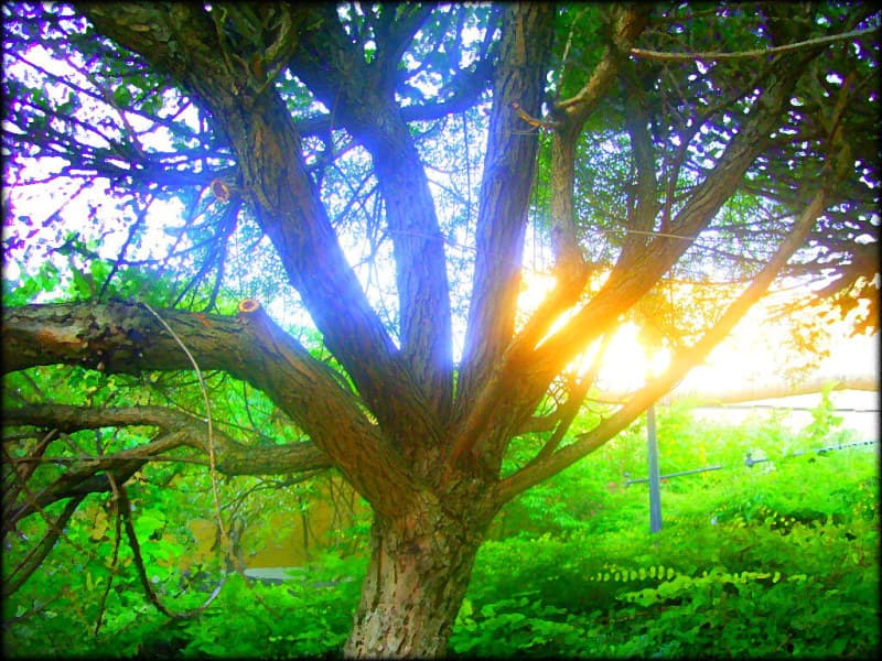 Hope Springs Eternal screenshot 6