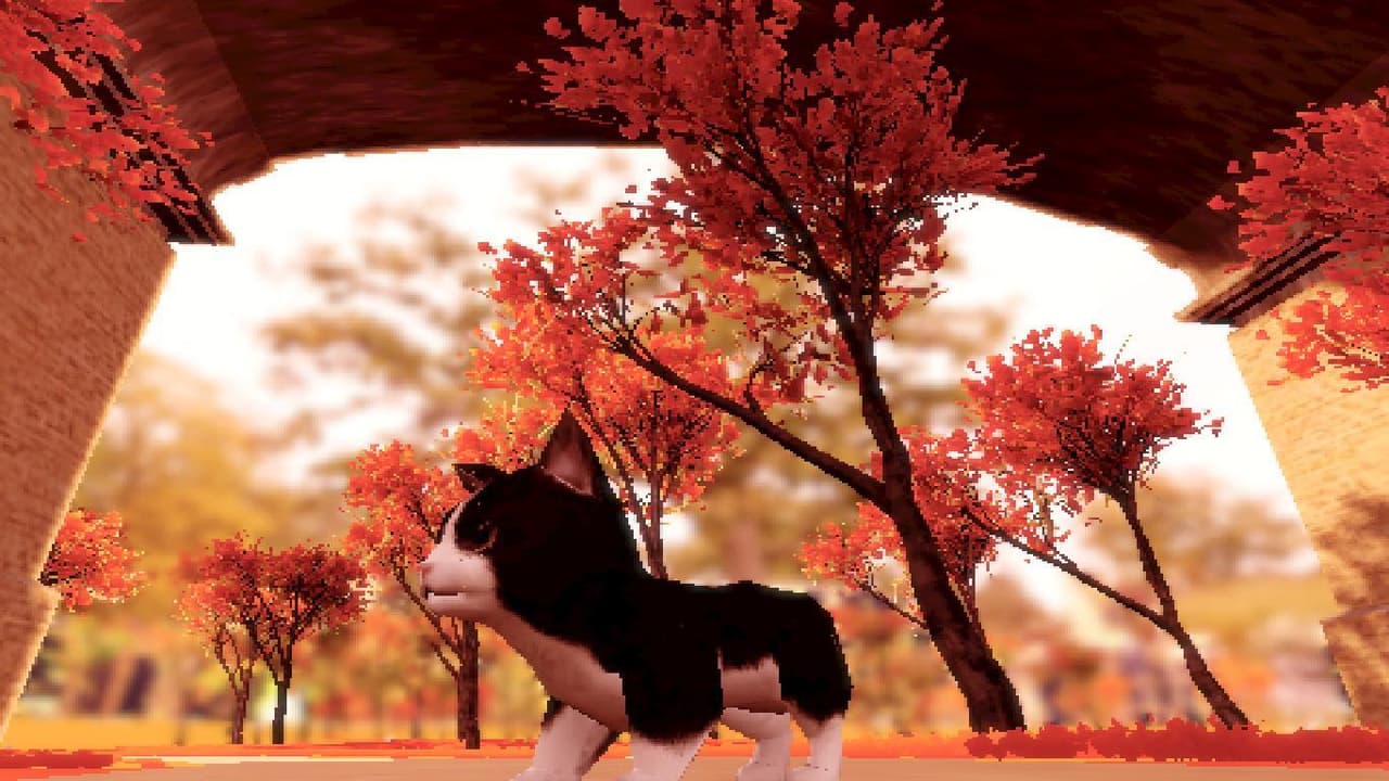 Fluffy Autumn