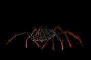 Soulace (itch) screenshot 3