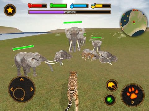Clan of Tigers