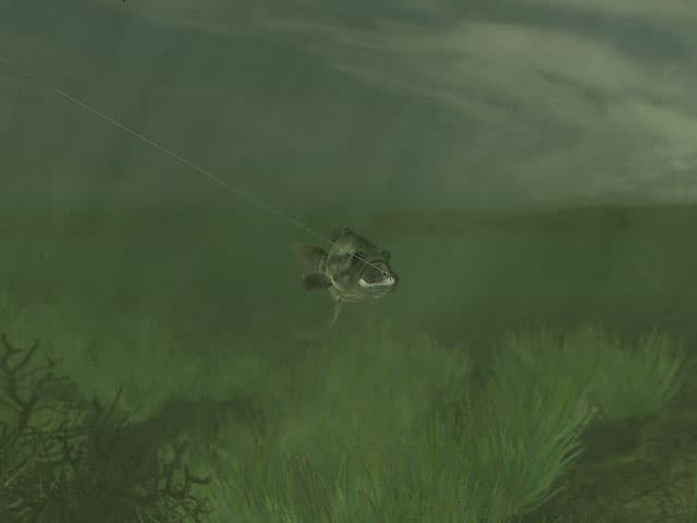 Rapala Pro Fishing screenshot 4