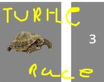 TURTLE RACE (Fire_turtleGamer) screenshot 3