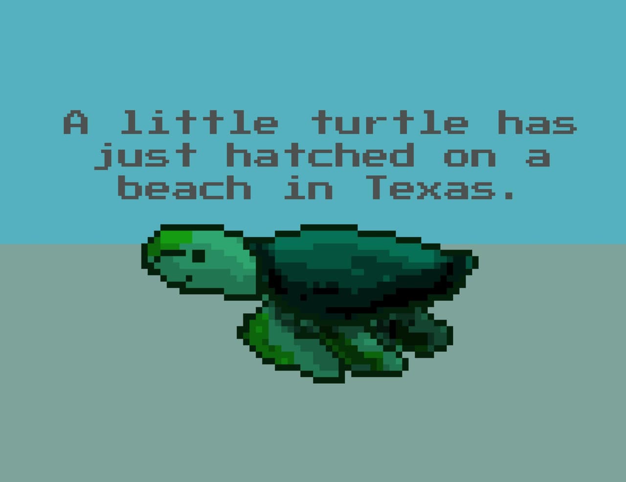 A little turtle has just hatched on a beach in Texas.