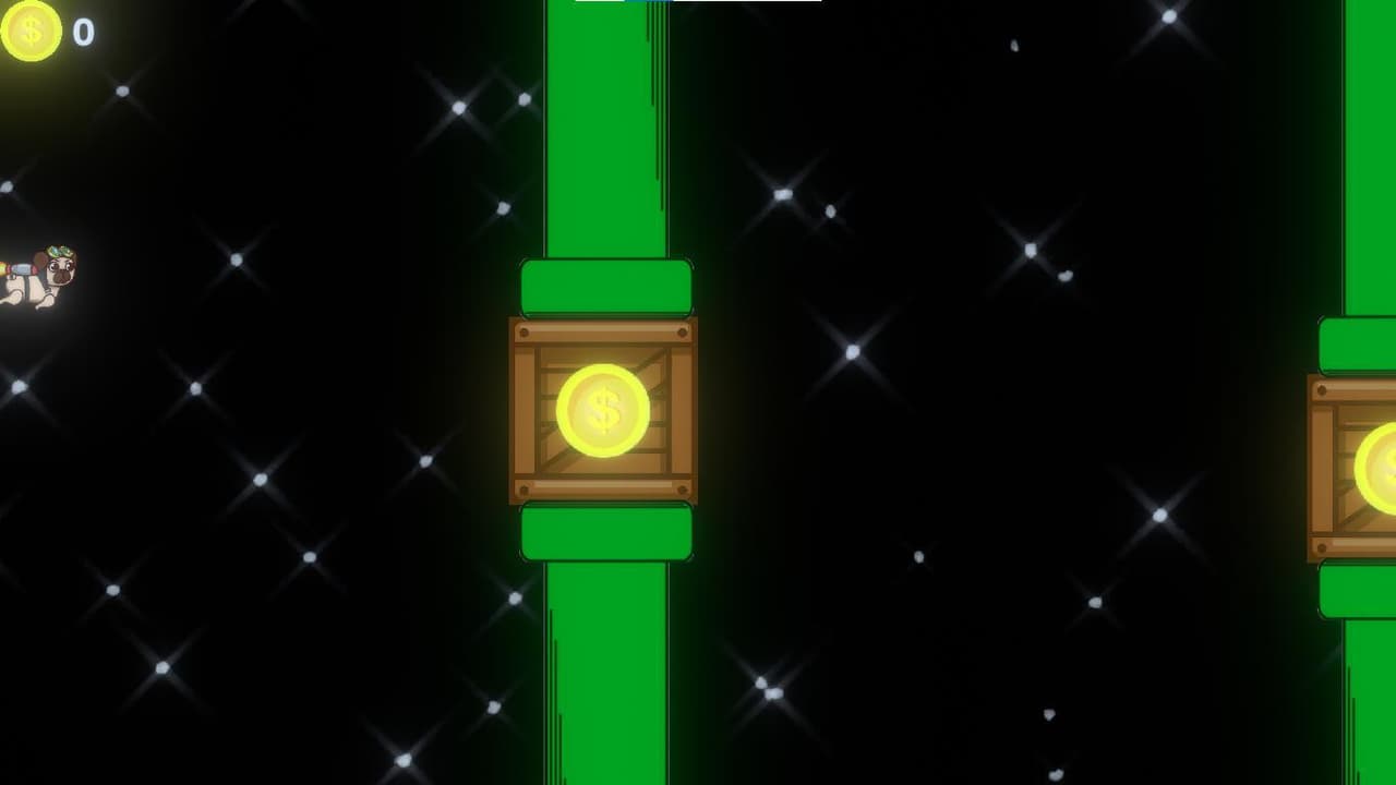 DOG FLY in space