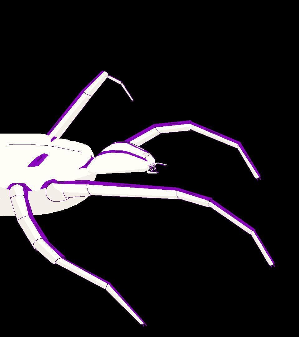 Spidermare