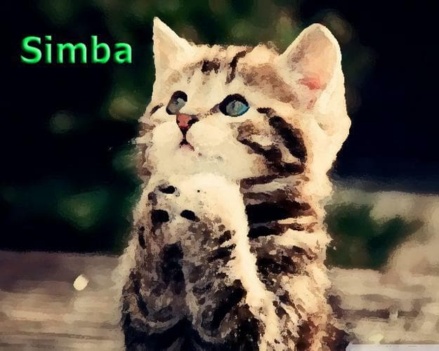 Simba