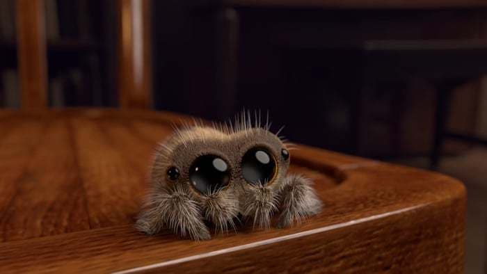 Flying Spider RPG