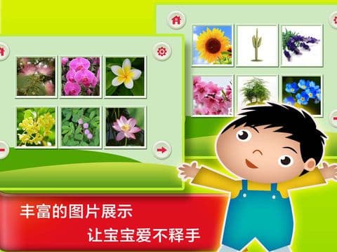 Plant & Flower - Study Chinese Words and Learn Language used in China From Scratch screenshot 3