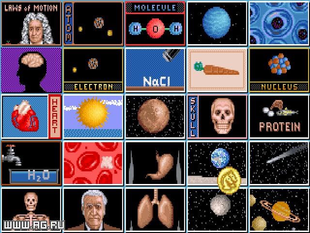 Facts in Action screenshot 3