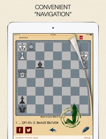 Mate in 2? OK! v.2 screenshot 5