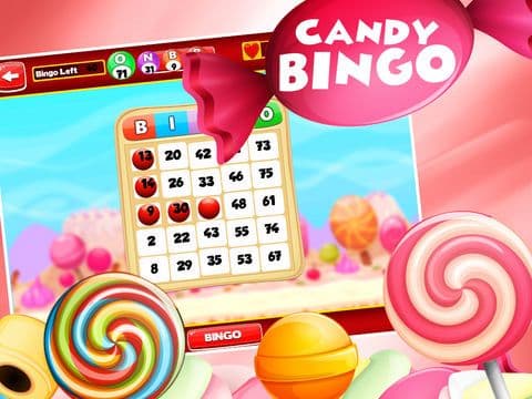 Bingo of Fortune Wheel screenshot 4