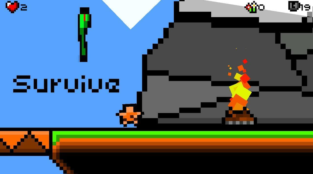 Sheltry screenshot 2