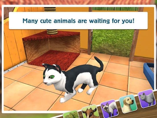 PetWorld: Animal Shelter screenshot 6