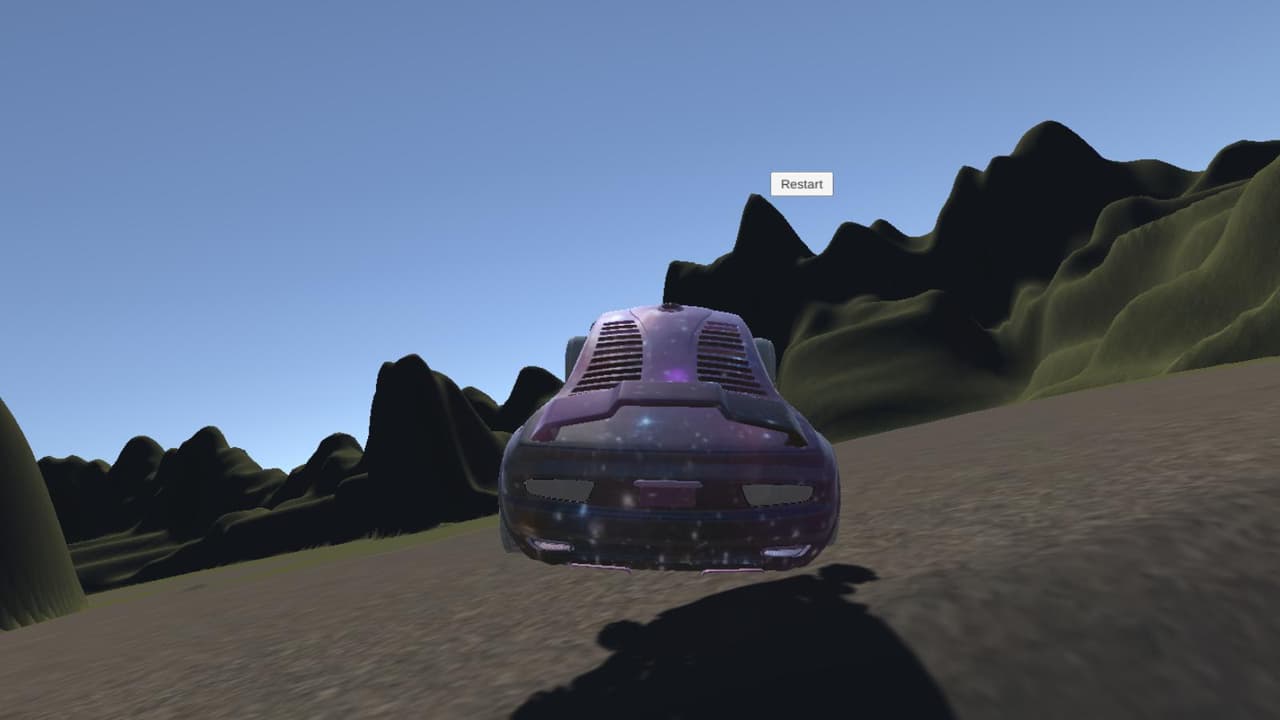 Race Car Rally