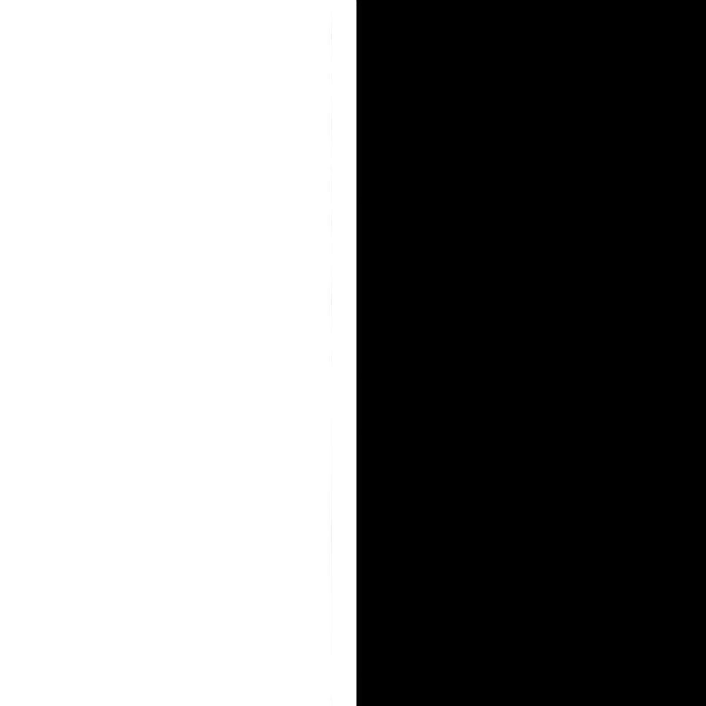 Black and White (Stroven)