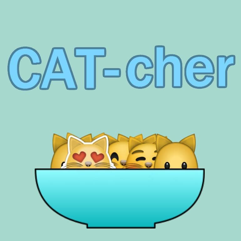 CATcher (itch) (GenericToast)