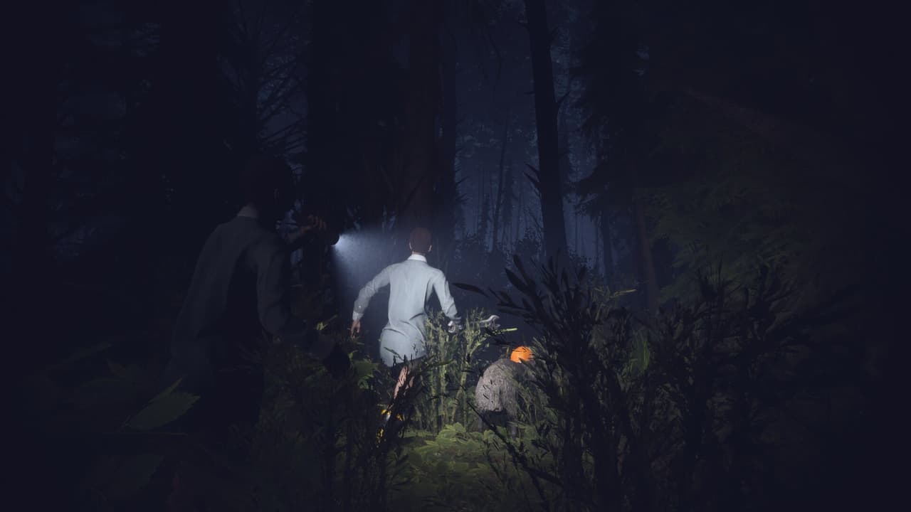 Light, Dark or Hrak? screenshot 6