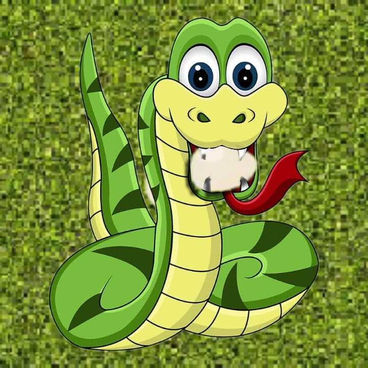 The snake and the chicken egg