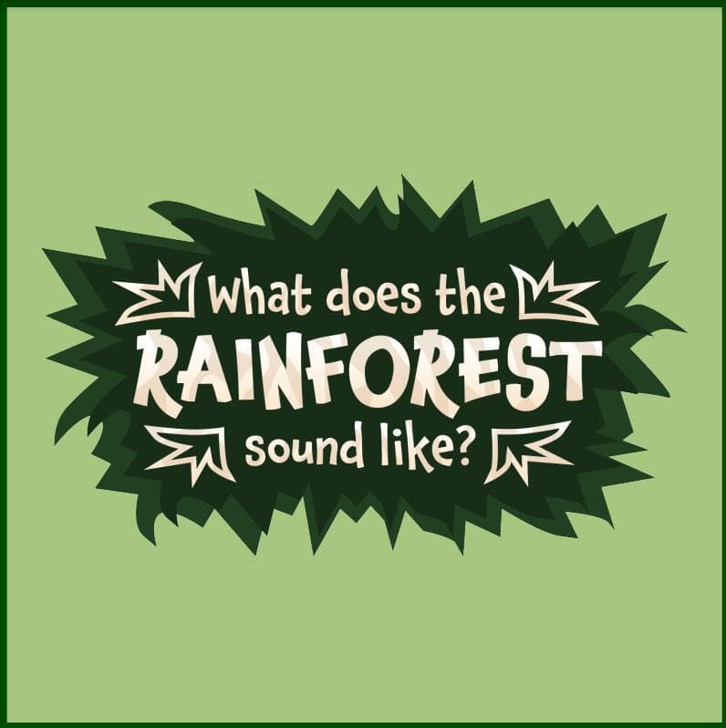 Forest Match