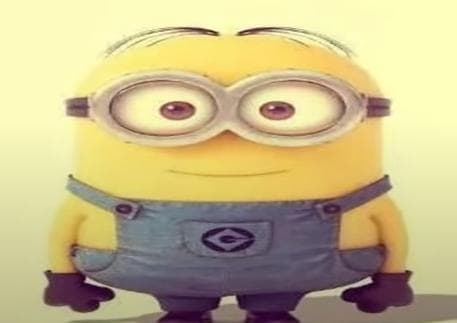 Minions adventures in fun land!