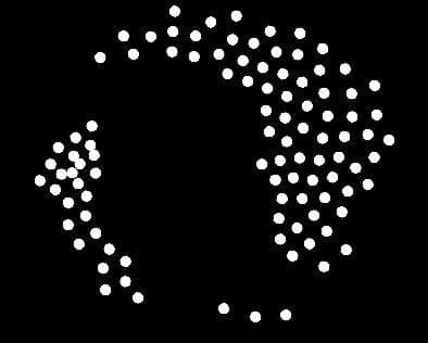 Boid Project