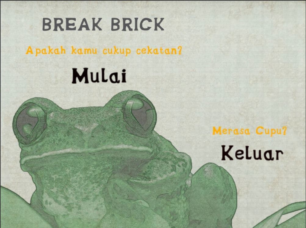 Break Brick