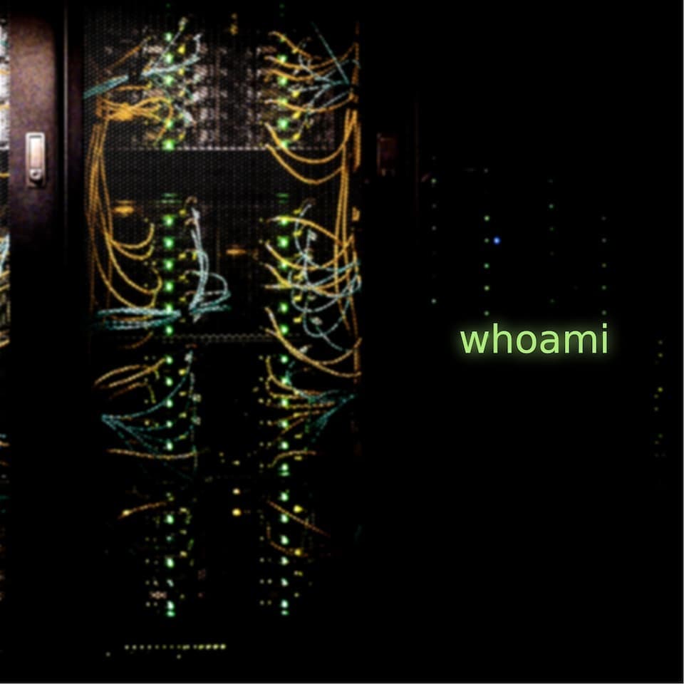 whoami (n2n)