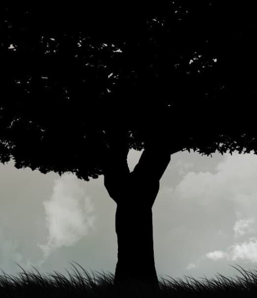 DarkTree (In Testing)