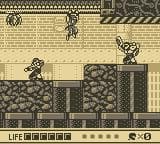 Ninja Gaiden Shadow