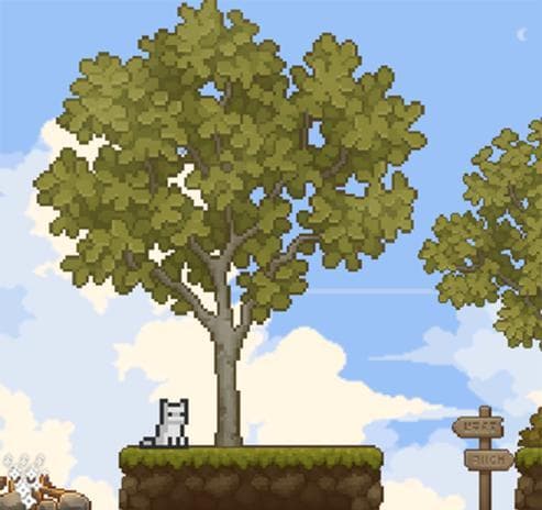 Branching Out (conners)