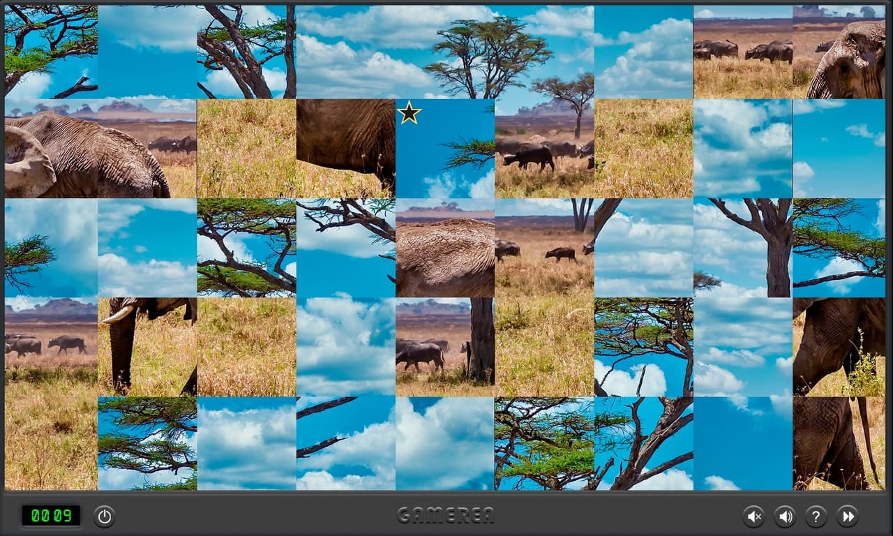 Animals Of Africa