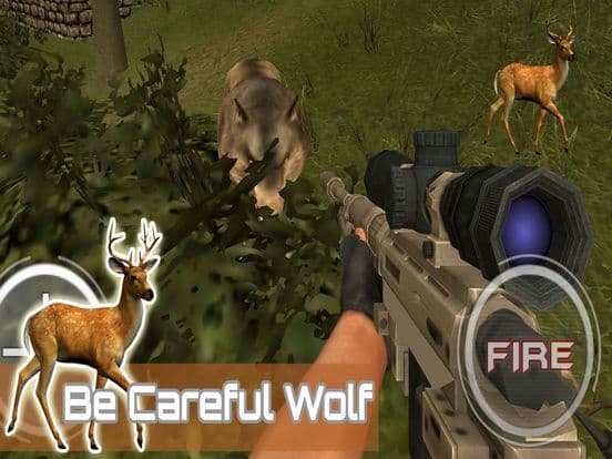 Huge Forest Hunting
