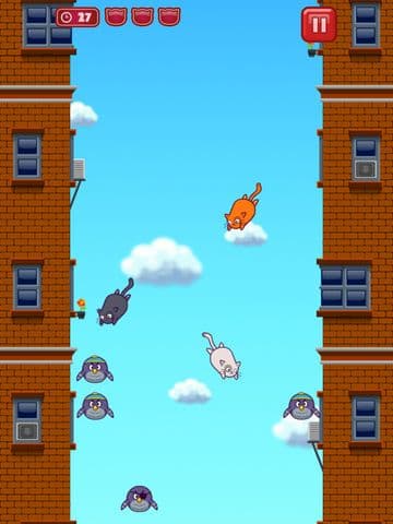 Cats vs Birds