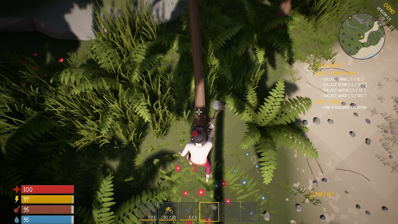 The Pirate King
