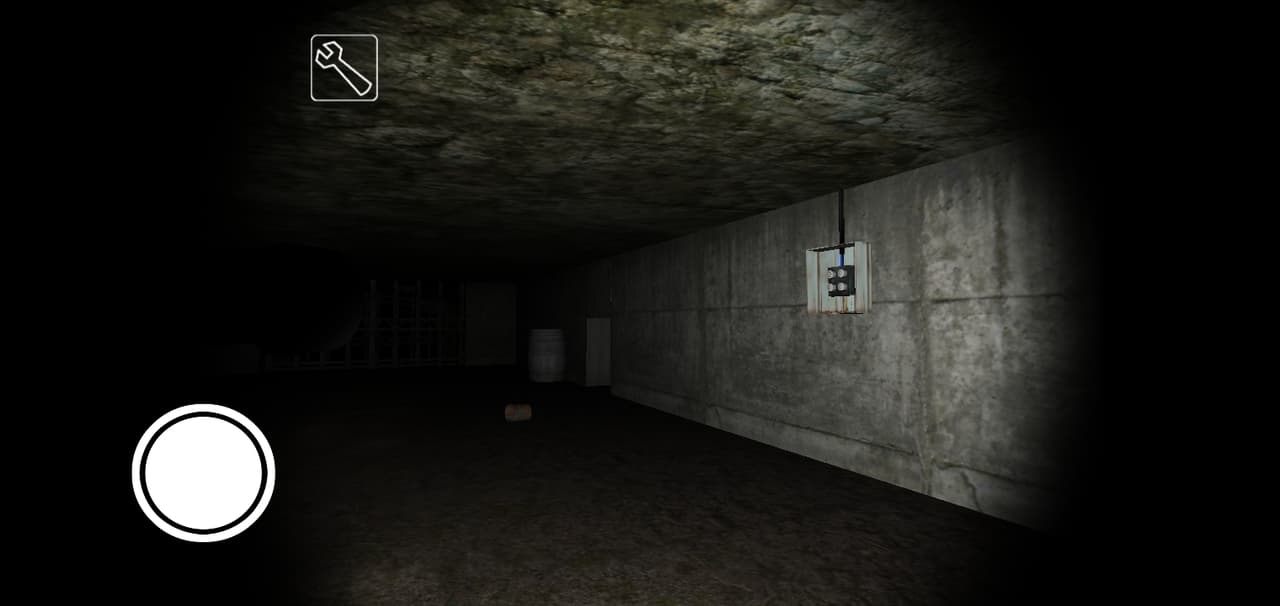 Granny the cellar screenshot 4