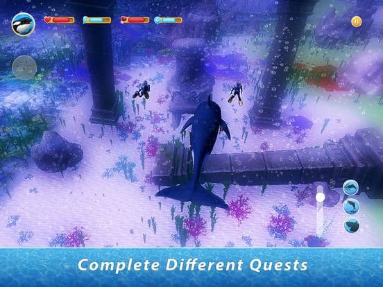 Orca Family Simulator