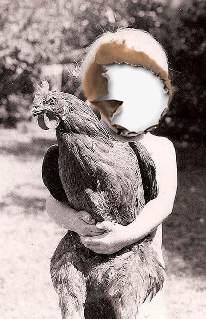 Family Photos