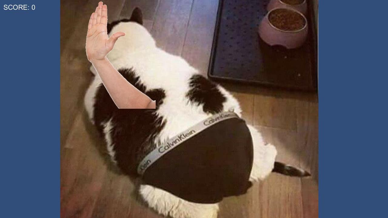 CatSlapp