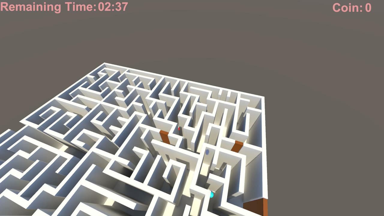 The Maze! (mikele34) screenshot 4