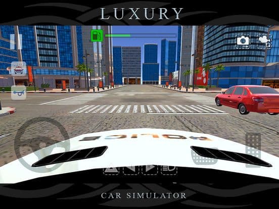 Luxury Police Car