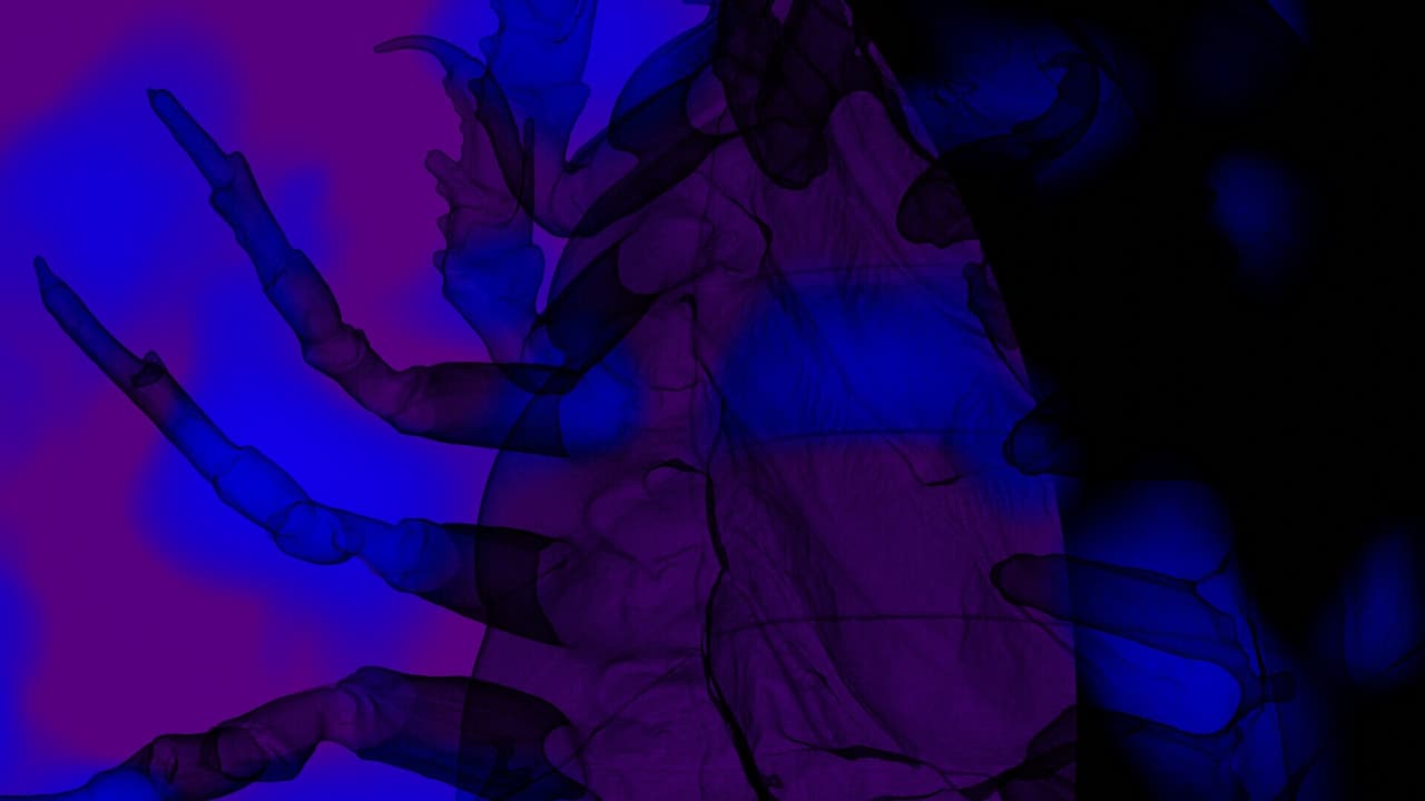 Eon of the Green screenshot 5