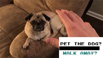 Pet The Dog? screenshot 2