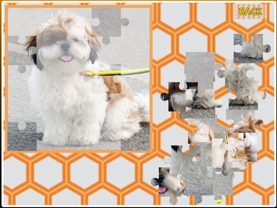 Funny jigsaw puzzle - With cute photos!
