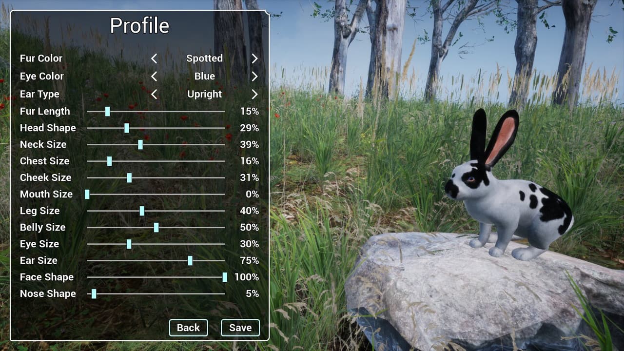 Rabbit Meadow (itch)