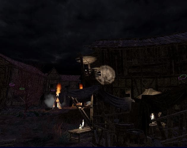 The Survivor(Evil Village)