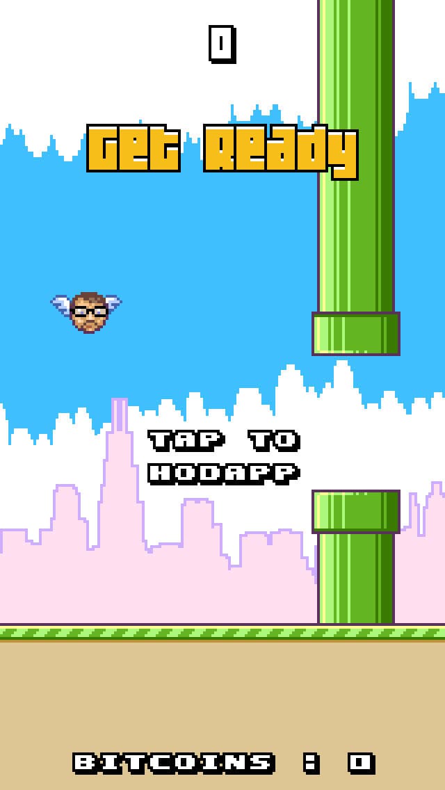 HodappyBird screenshot 2