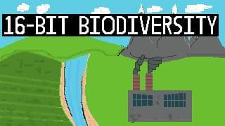 16 - Bit Biodiversity