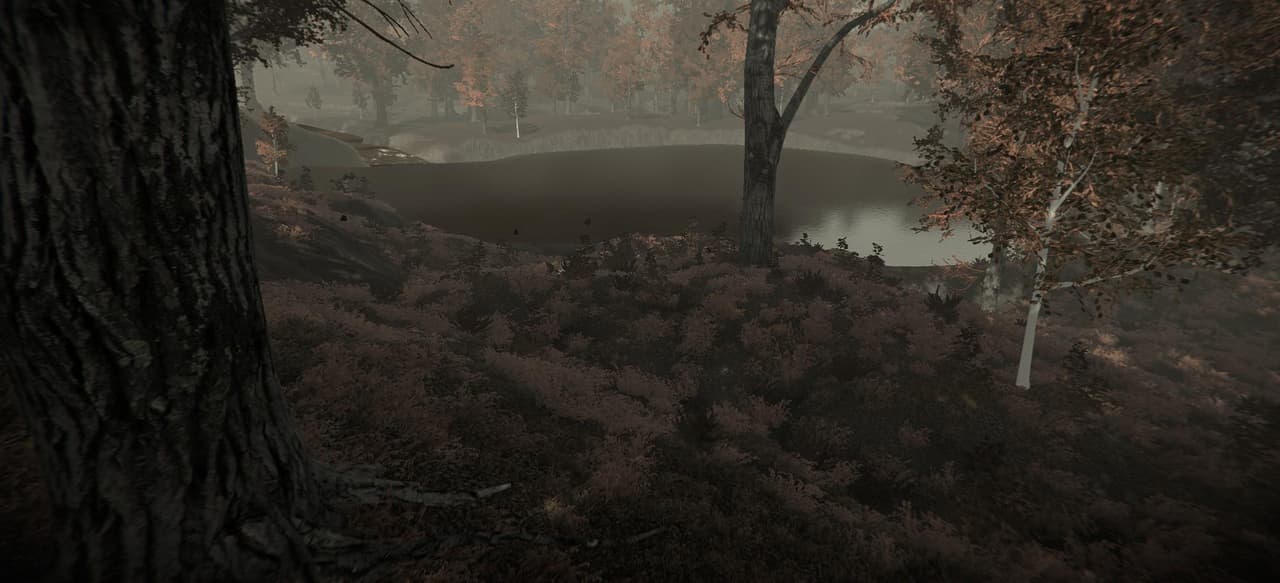 Autum and Curses