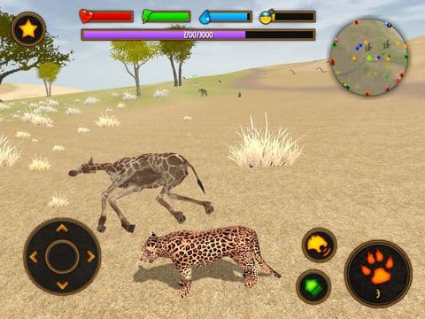 Clan Of Leopards